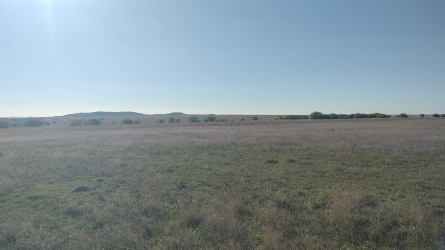 Commercial Property for Sale in Bloemfontein Rural Free State